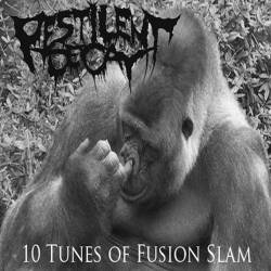 Pestilent Decay : 10 Tunes of Fusion Slam